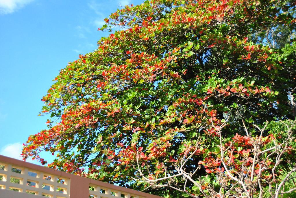 Hotel Imperial Cap-Haïtien Kültér fotó